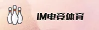 IM电竞官方网站